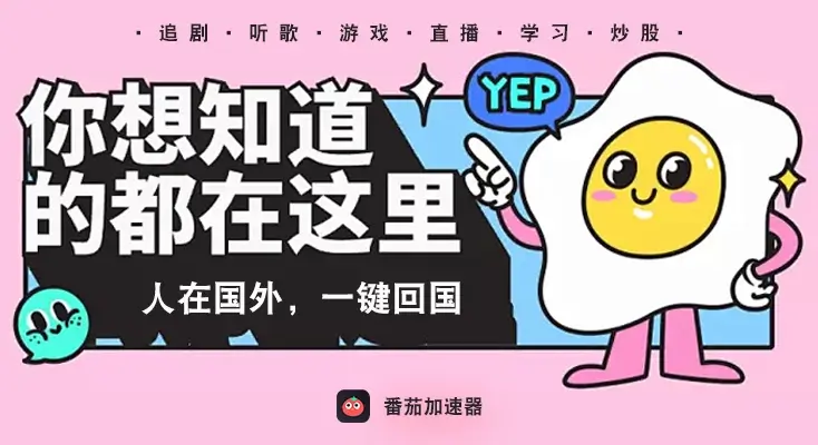 高性价比vpn