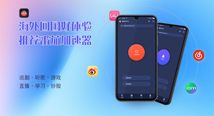 图解归雁加速器ios