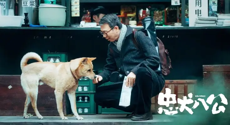 在国外看电视剧地区限制怎么办图解